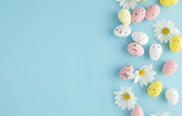 Flowers, holiday, chamomile, eggs, spring, yellow, Easter, pink