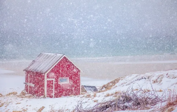Winter, sea, snow, coast, Norway, house, Norway, Nordland