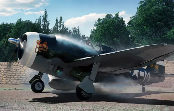 Art, Thunderbolt, UNITED STATES AIR FORCE, fighter-bomber, P-47, sally, Republic