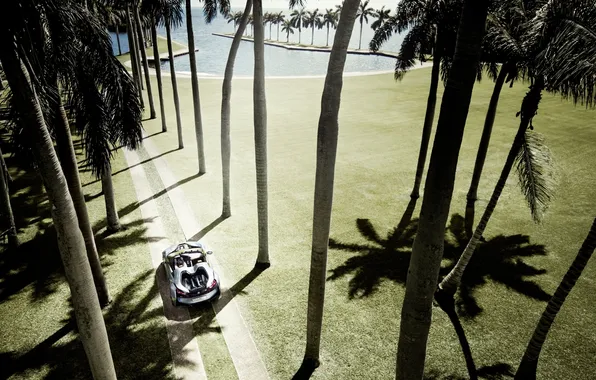 Road, palm trees, bmw, BMW, concept, the concept, Bay, supercar