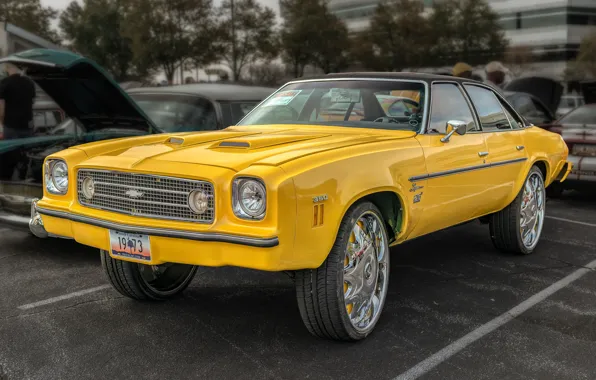 Chevrolet, Chevelle, Laguna Donk