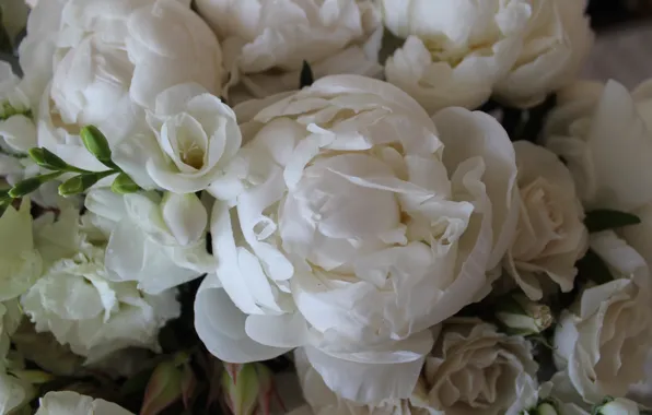 White, macro, bouquet, peony, freesia, eucalyptus, spray roses