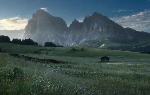 Field, forest, summer, the sky, grass, clouds, mountains, fog