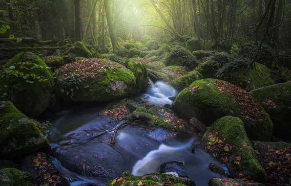 River, stones, moss, boulders