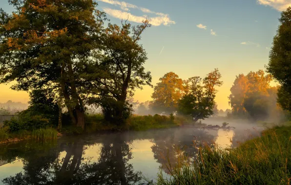 Forest, the sky, trees, reflection, river, the fence