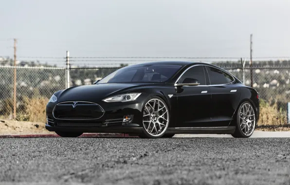 Picture Model, Black, Tesla