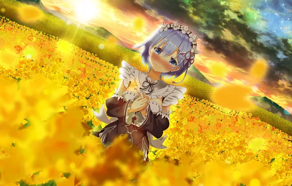 Glade, tears, anime, art, Rem, Re: Zero kara hajime chip isek or Seikatsu
