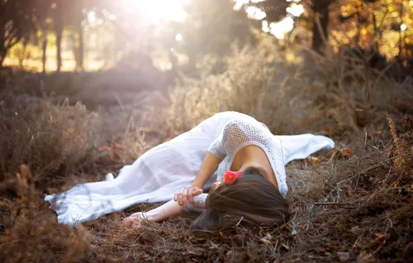 Picture flower, grass, girl, lies