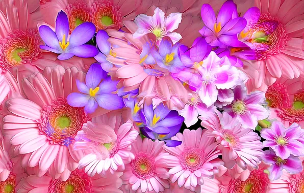 Picture line, rendering, paint, petals, crocuses, gerbera