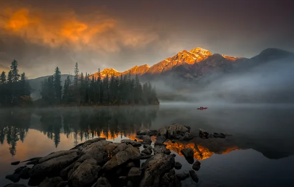 Forest, the sky, clouds, light, mountains, fog, lake, reflection