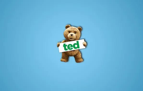 The film, the inscription, bear, TED