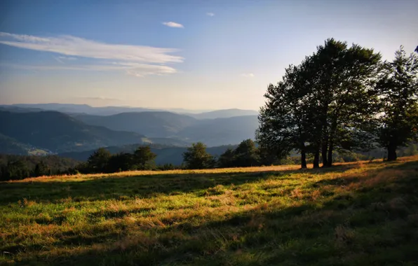 The sky, grass, clouds, trees, hills, the sun's rays