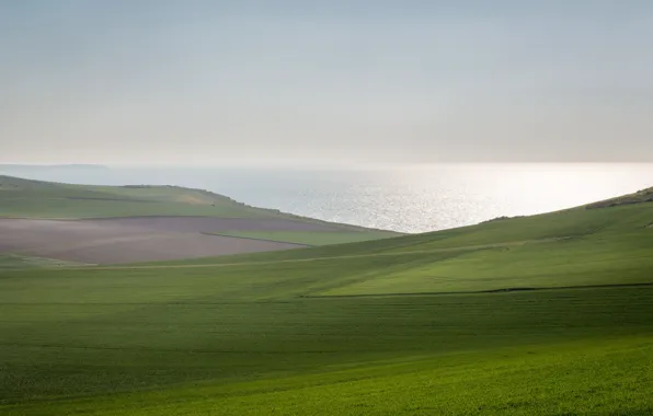 Picture sea, field, fog, shore