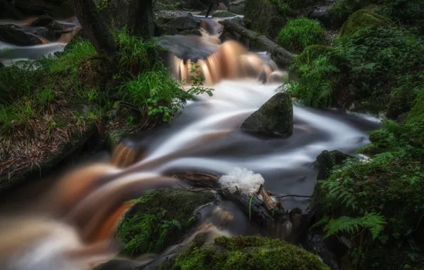 Picture grass, stream, stones, England, moss, river, England, Derbyshire