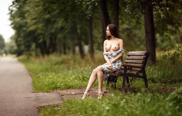 Greens, chest, grass, girl, trees, bench, pose, Park