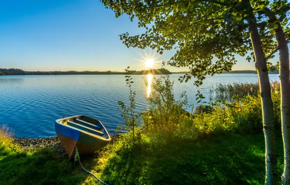 Grass, the sun, rays, trees, sunset, lake, boat