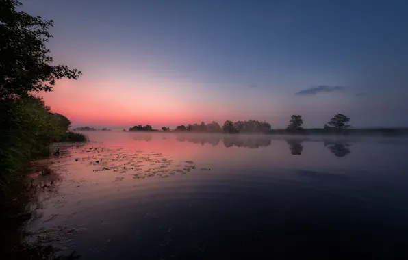 Picture summer, landscape, nature, fog, river, dawn, morning, Dubna