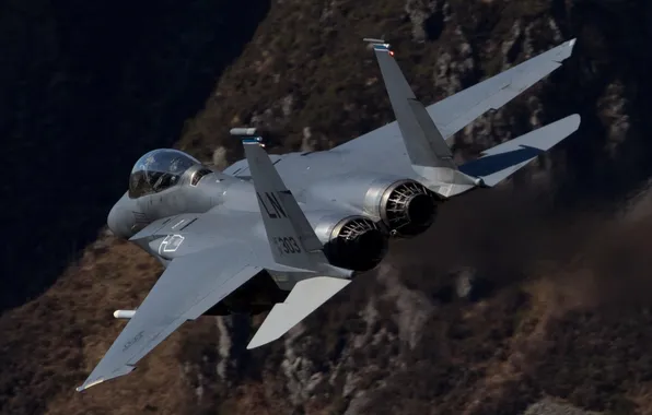 Flight, fighter, F-15E, Strike Eagle