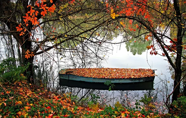 Autumn, leaves, trees, lake, boat