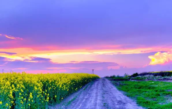 Road, field, the sky, flowers, spring, may, Nature, may