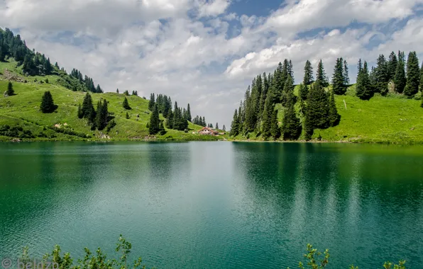 The sky, grass, trees, mountains, lake, house