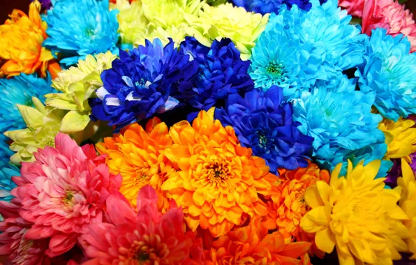 Flowers, orange, blue, blue, bright, bouquet, pink, beautiful
