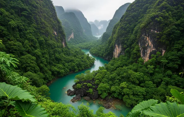 Trees, mountains, fog, tropics, river, Wallpaper, valley, wallpaper