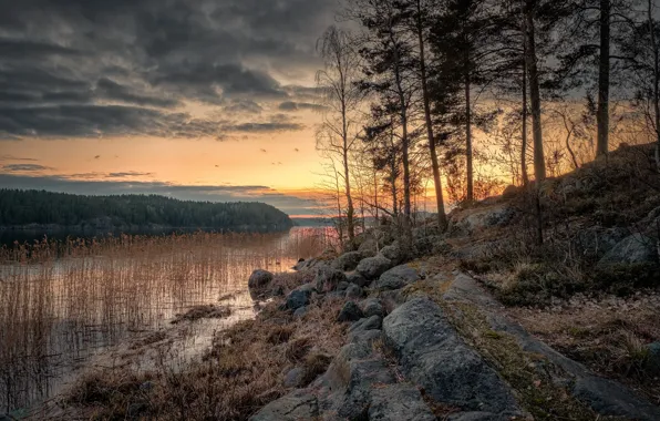 Autumn, forest, the sky, clouds, trees, sunset, clouds, lake