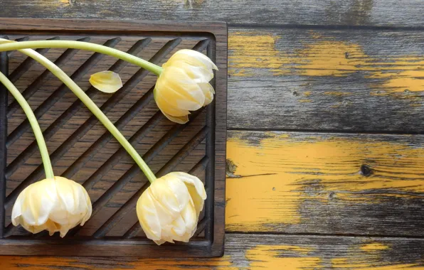Flowers, bouquet, spring, petal, tulips, widescreen, flowers, beautiful
