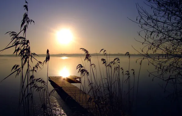 Picture the bridge, the reeds, tree, wooden, lake, cloudless, the sun, the sky