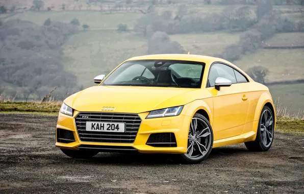 Audi, Audi, coupe, Coupe, UK-spec, 2015, TTS