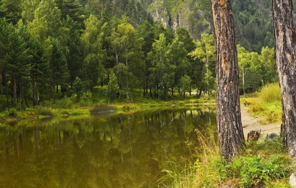 Picture Autumn, Lake, Forest, Fall, Autumn, Lake, Forest