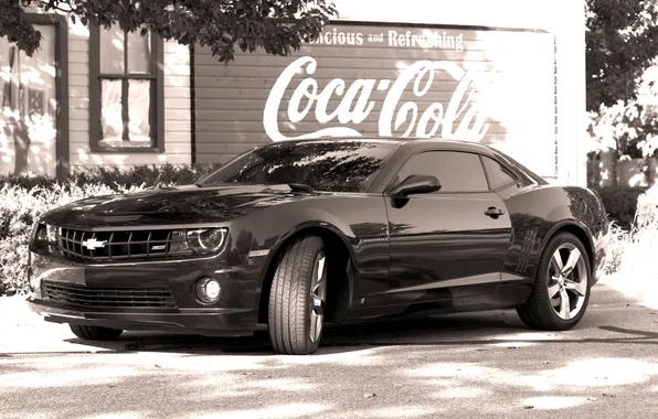 Picture coca cola, black, camaro, chevrolet