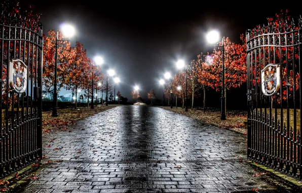 Night, Park, England, Hough