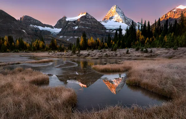 Forest, grass, mountains, river