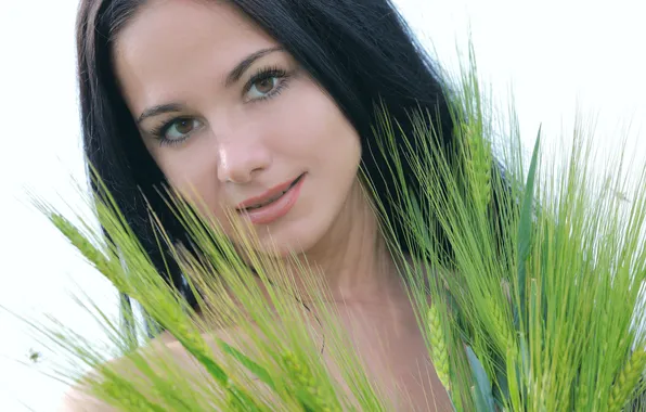 Picture grass, girl, close-up, brunette, ears, Leona E