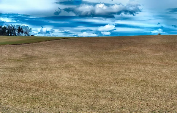 Field, the sky, tractor
