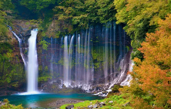 Autumn, forest, trees, rock, waterfall, Japan, Japan, Shiraito Falls