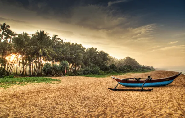 Picture sand, sea, beach, tropics, palm trees, coast, boat, HDR