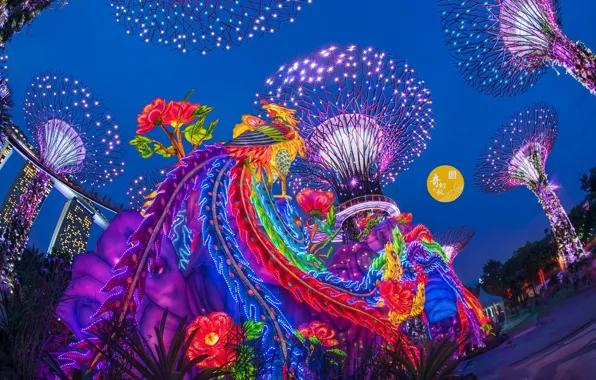 Lights, Asia, new year, Singapore