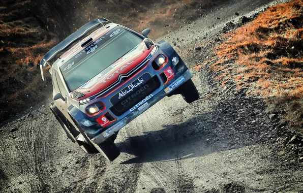 Sport, Machine, Race, Citroen, Dirt, Citroen, Car, WRC