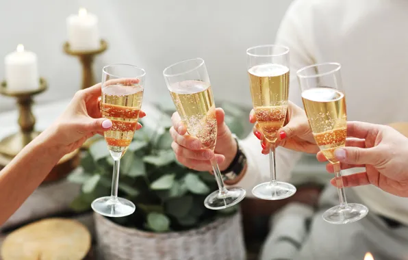 Glass, people, girls, room, holiday, wine, glass, plant