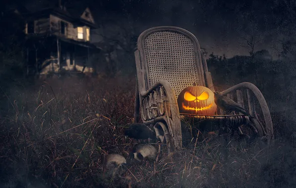 Night, house, holiday, Halloween, pumpkin, skull, Halloween, rooks