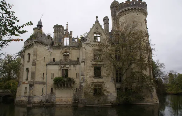 Picture the sky, trees, lake, overcast, France, ruins, architecture, Mote-Chandenier Castle