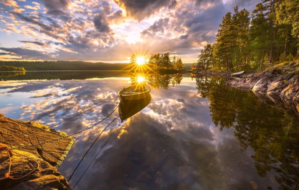 Picture trees, sunset, lake, reflection, boat, Norway, Norway, RINGERIKE