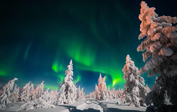 Winter, road, the sky, stars, snow, trees, night, Northern lights