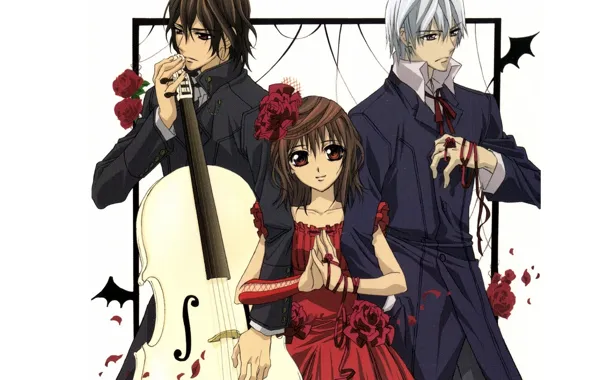 Picture cello, red dress, art, kaname kuran, vampire knight, yuuki cross, knight-vampire, flower in hair