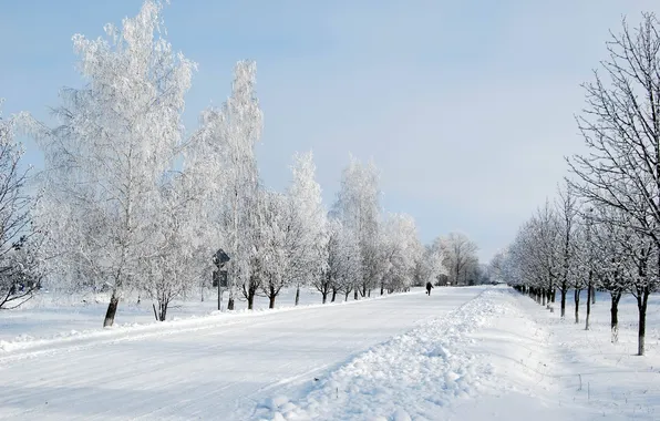 Road, snow, trees, blue, Winter