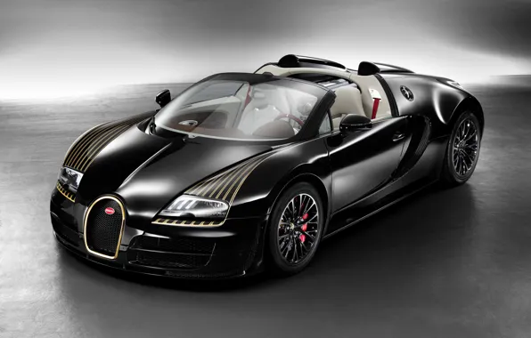 Picture Bugatti Veyron, W16, Black Bess