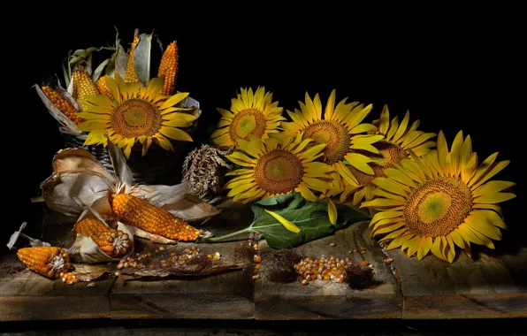 Picture leaves, sunflowers, flowers, Board, food, corn, yellow, black background